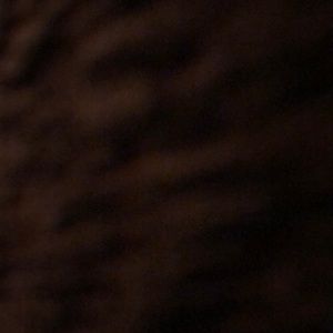 Meet your Posher, Ben